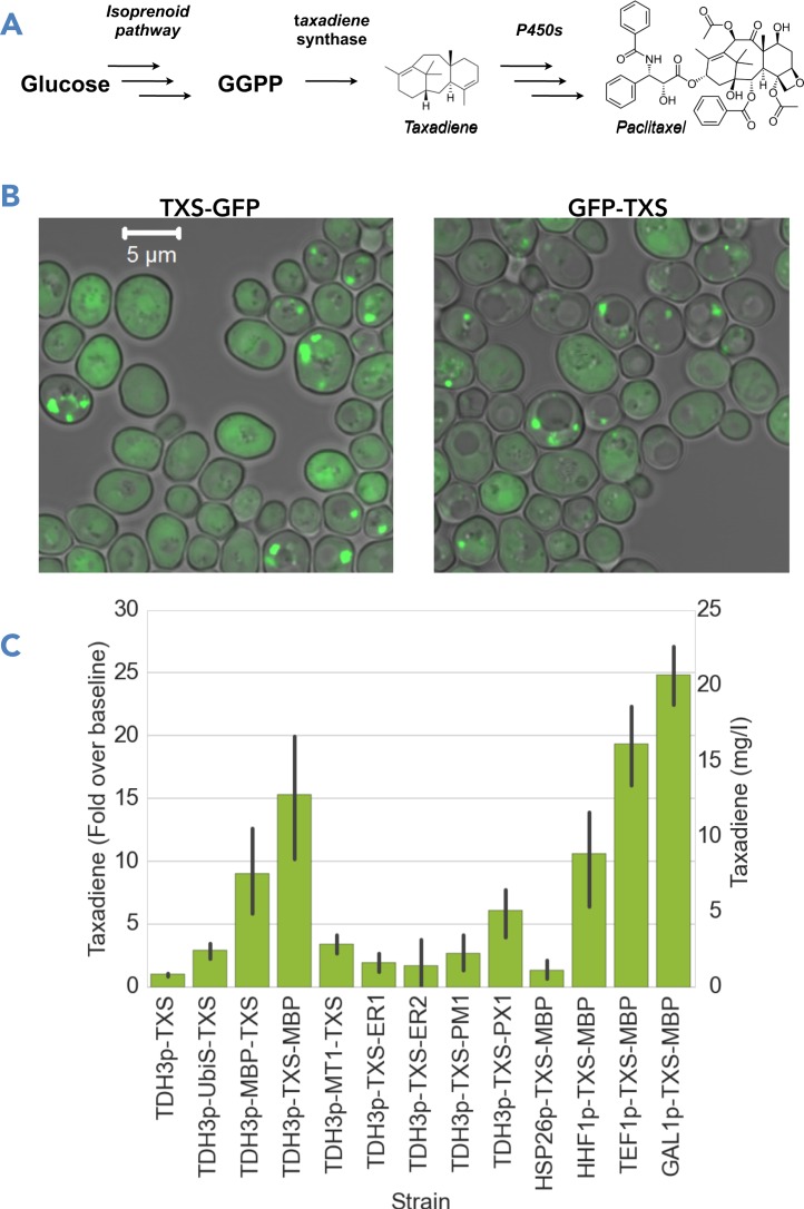 Figure 5.