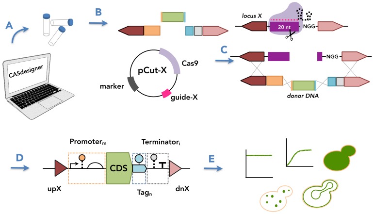 Figure 1.