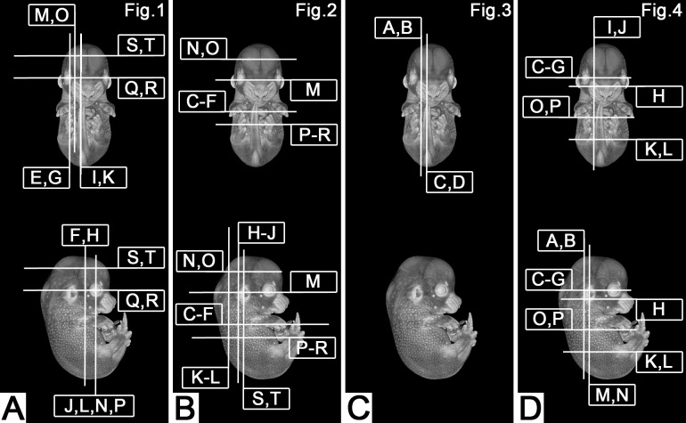 Fig. 5.