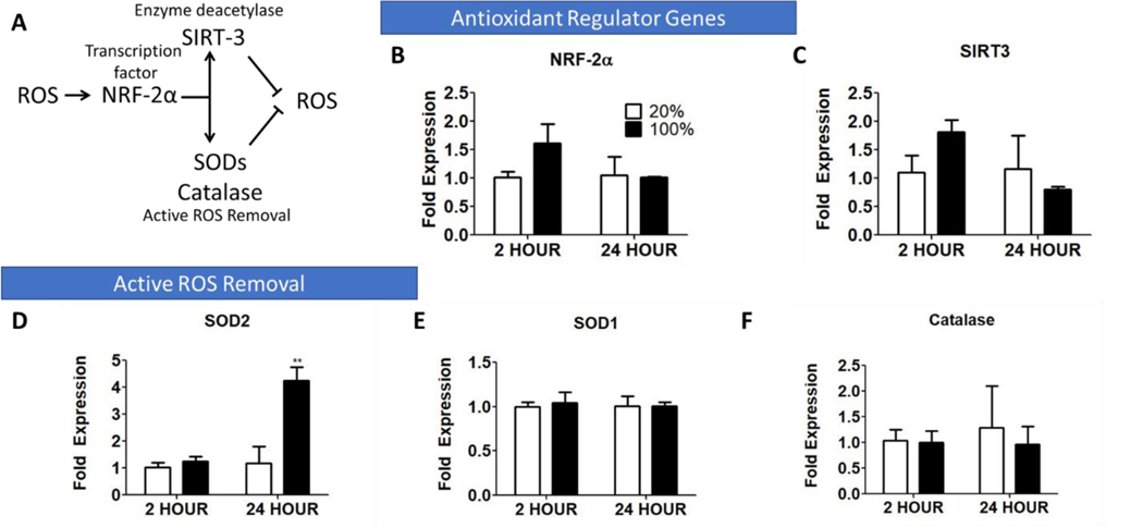 Figure 5: