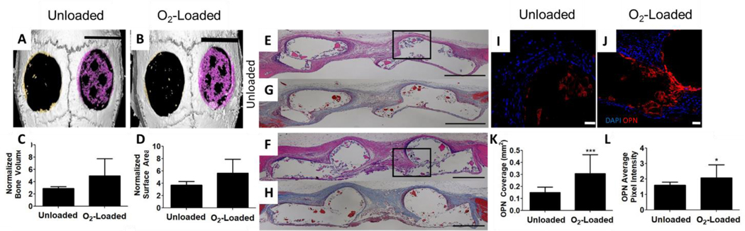 Figure 6: