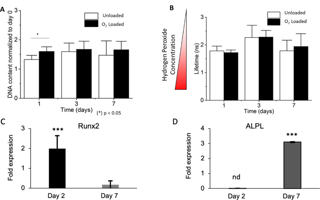 Figure 4: