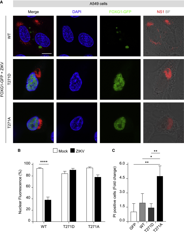 Figure 4