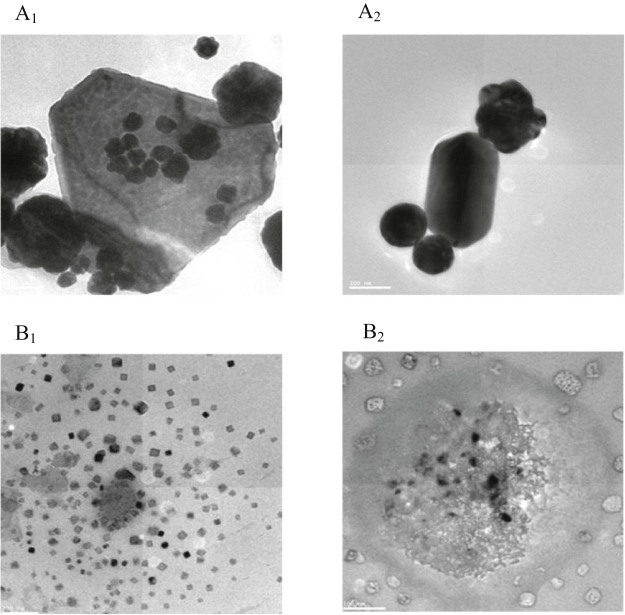 Fig. 1