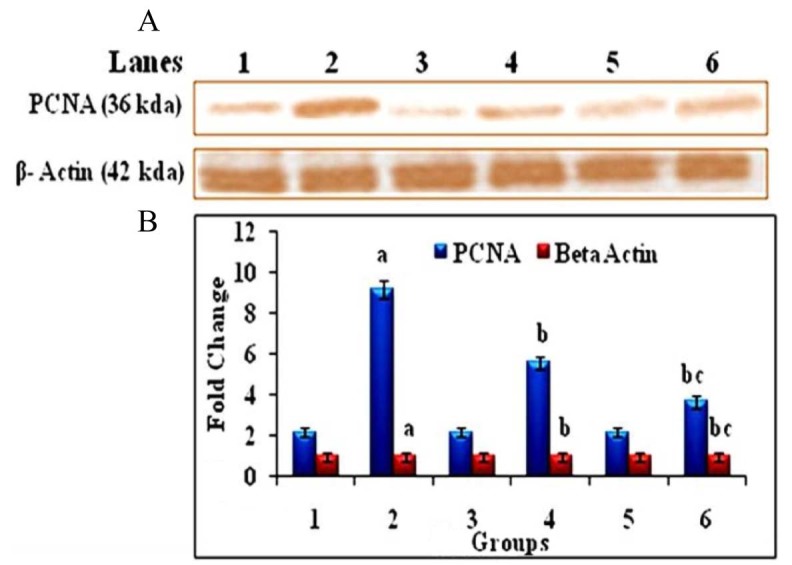 Fig. 10