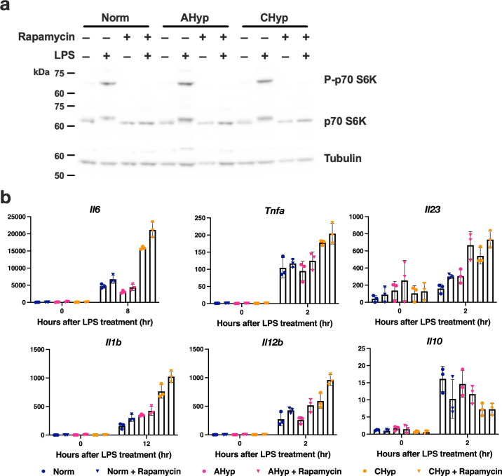 Extended Data Fig. 5