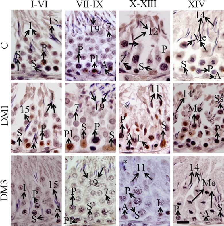 Figure 3.