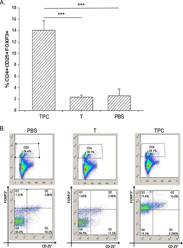 FIG 2