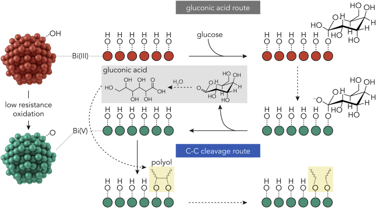 Scheme 2