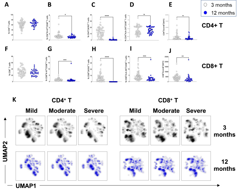 Figure 2—figure supplement 1.