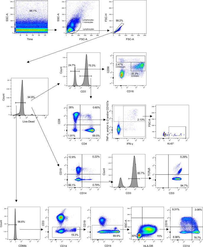 Figure 1—figure supplement 1.