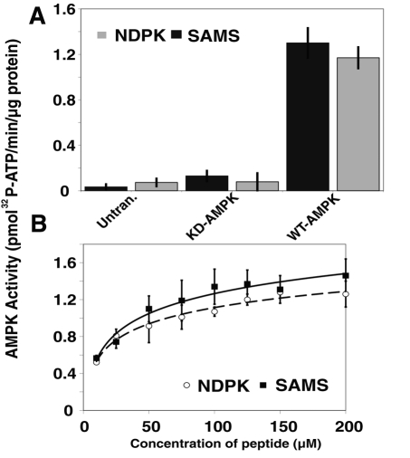 FIGURE 6: