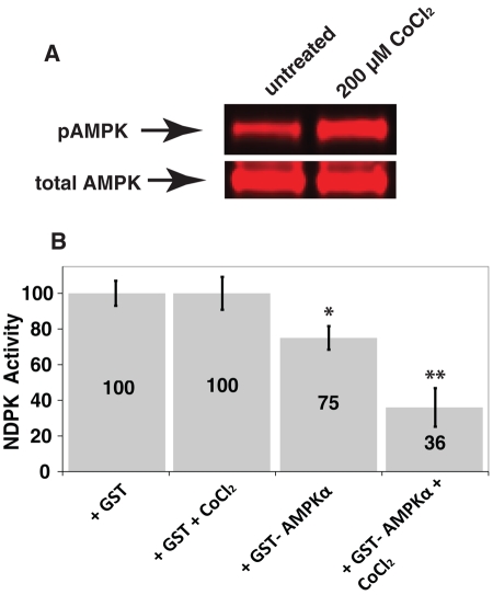 FIGURE 4: