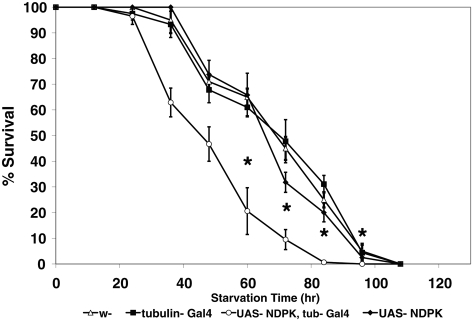 FIGURE 3: