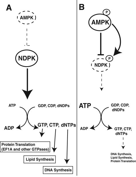 FIGURE 7: