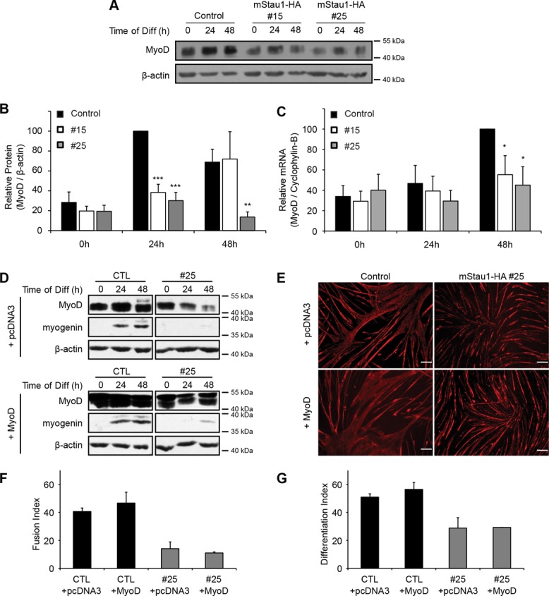 FIGURE 6: