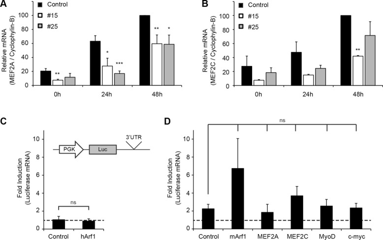 FIGURE 7: