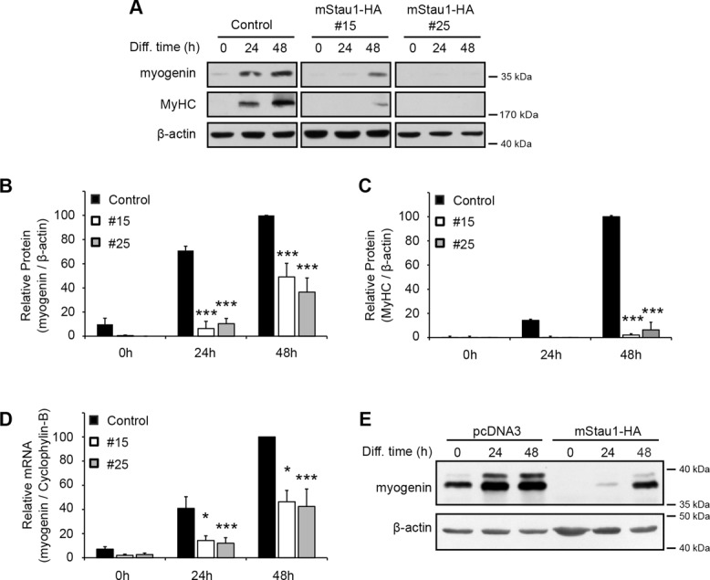 FIGURE 5: