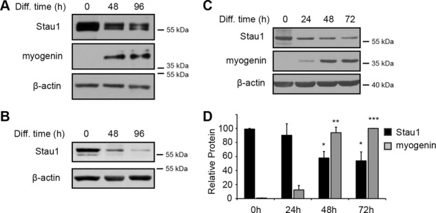 FIGURE 3: