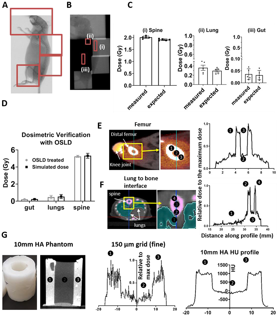 Figure 3: