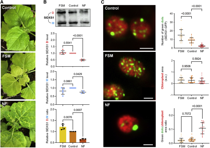 Figure 4