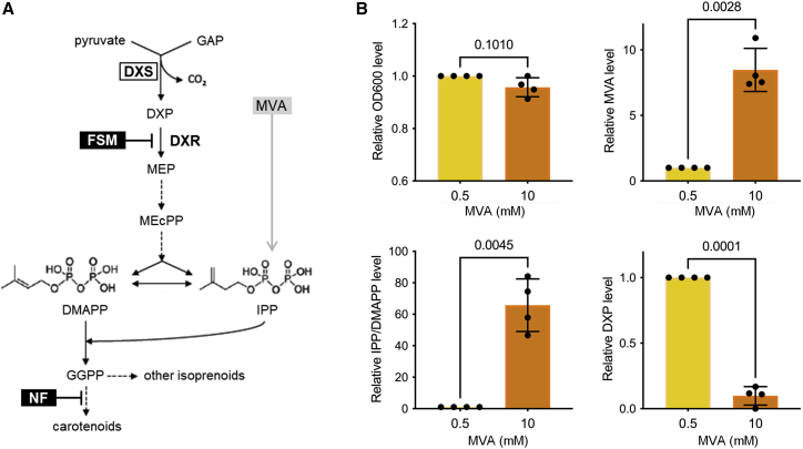 Figure 1