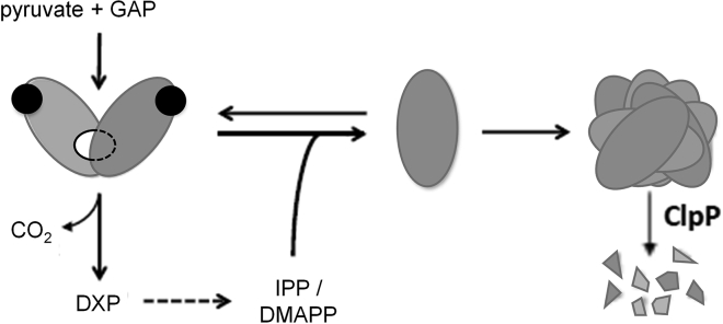 Figure 5