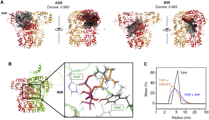 Figure 2