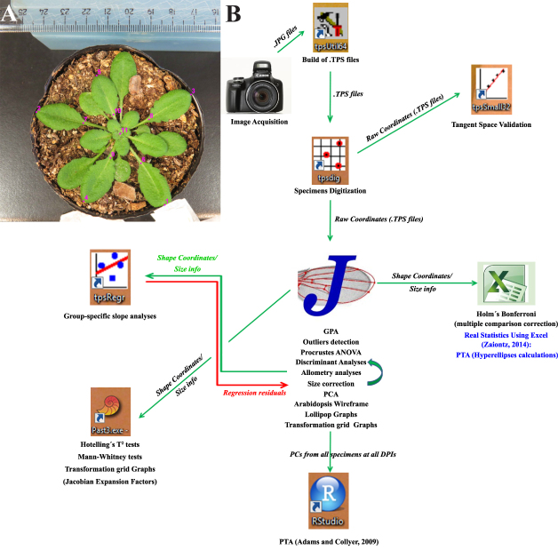 Figure 1: