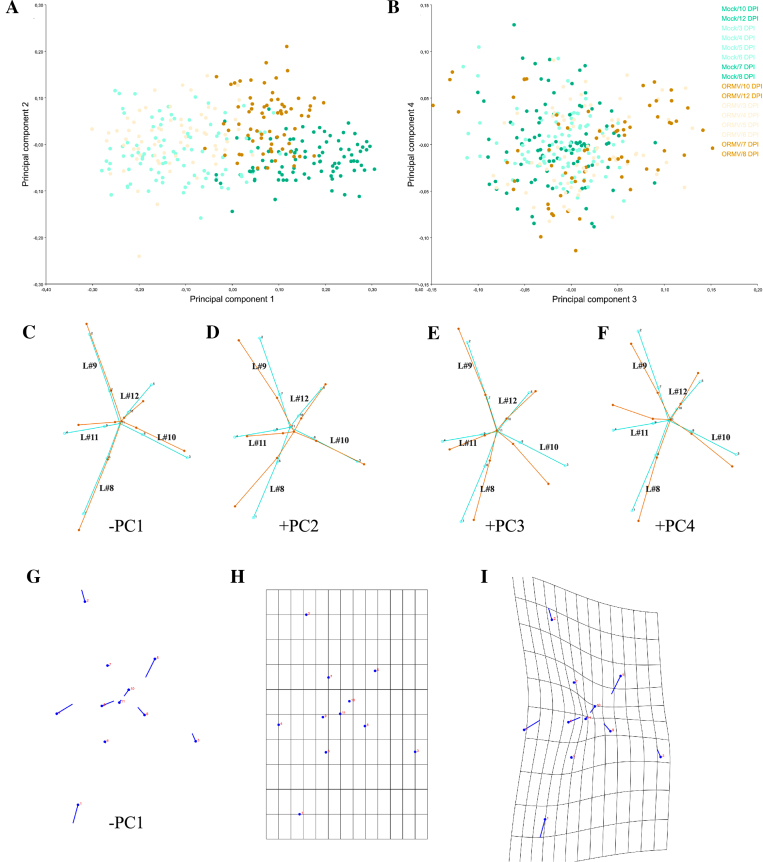 Figure 4: