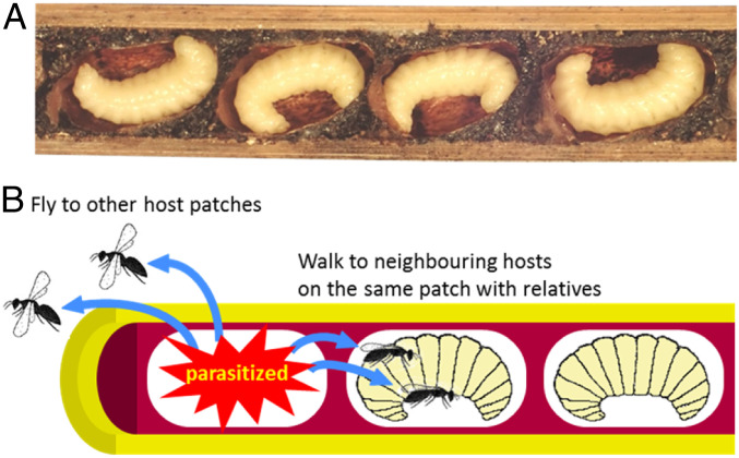 Fig. 2.