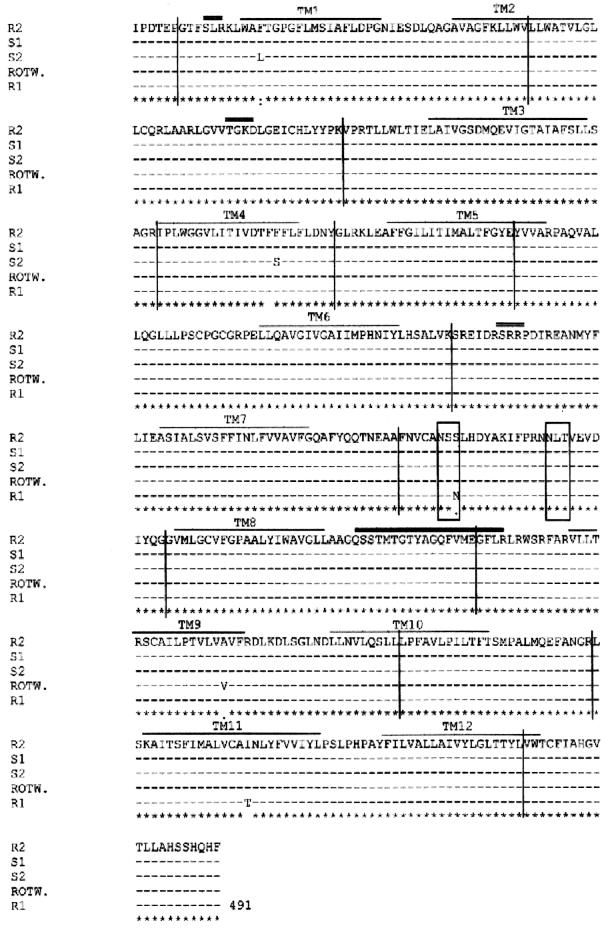 FIG. 7.