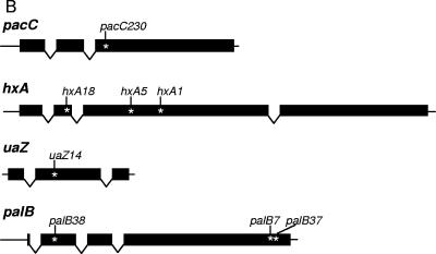 FIG.1.