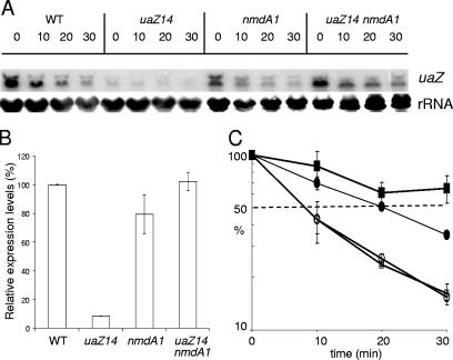 FIG. 4.