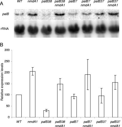 FIG. 6.