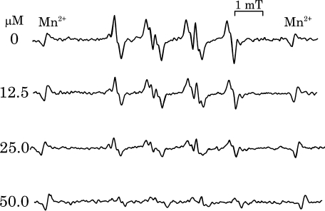 Fig. 3