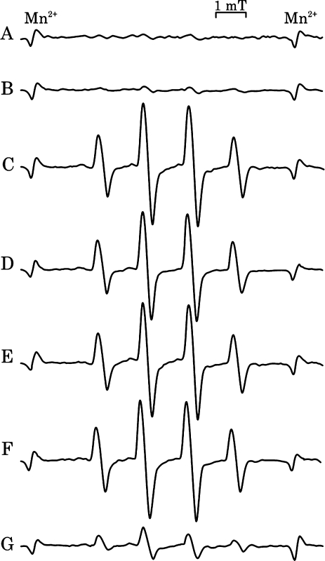 Fig. 6