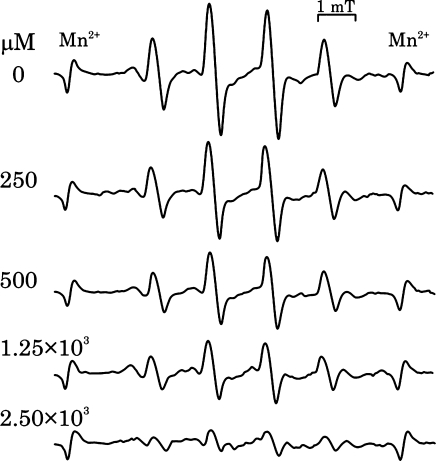 Fig. 7