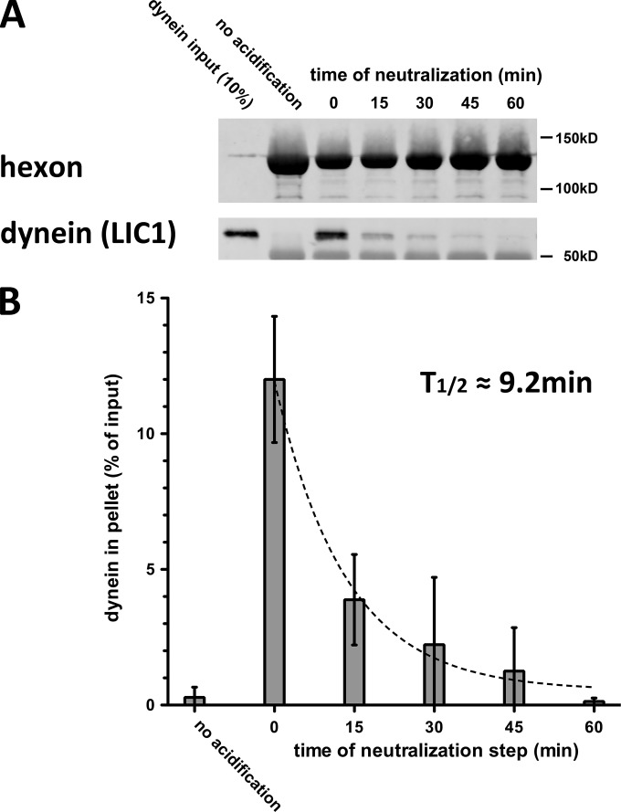 FIG 1