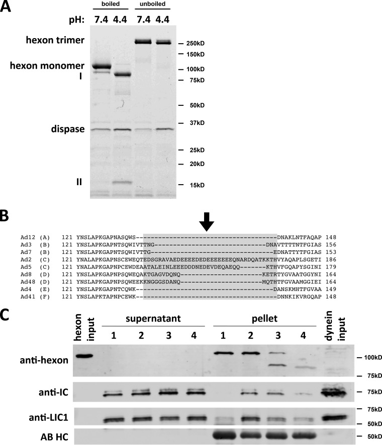 FIG 4