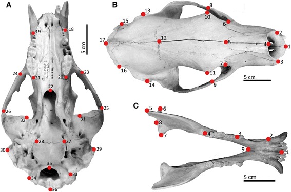 Fig. 2