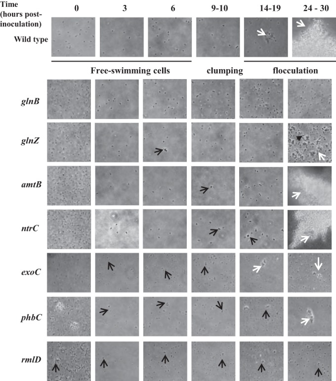 FIG 1