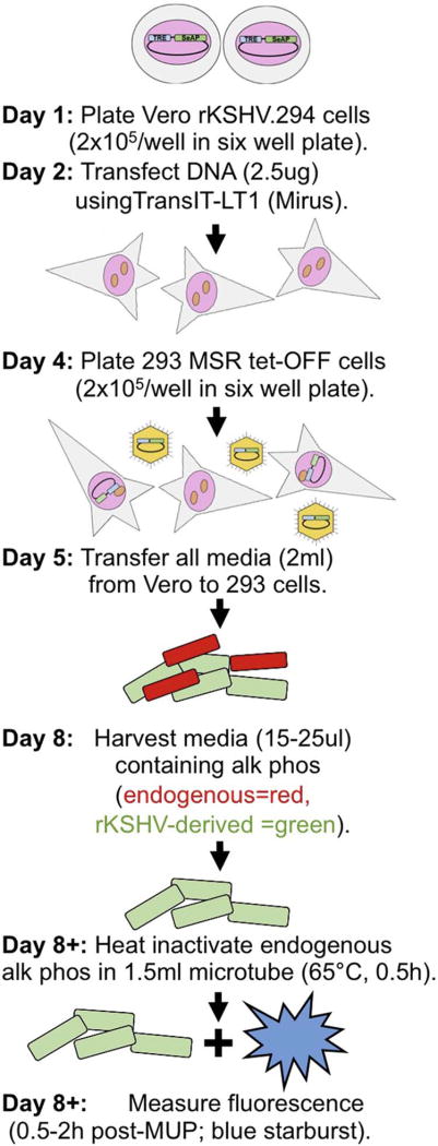 Fig. 7