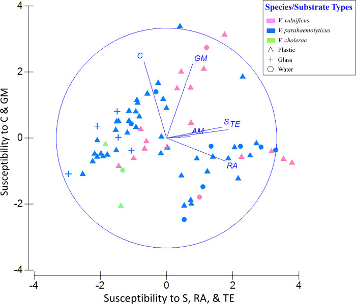 Fig 6