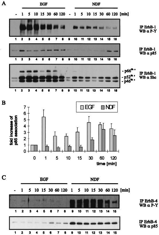 FIG. 8