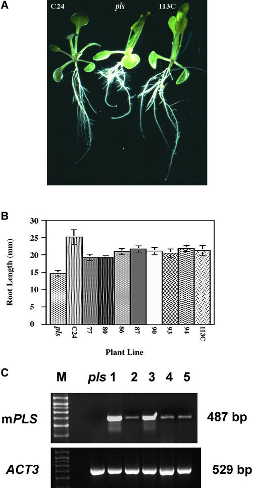 Figure 7.