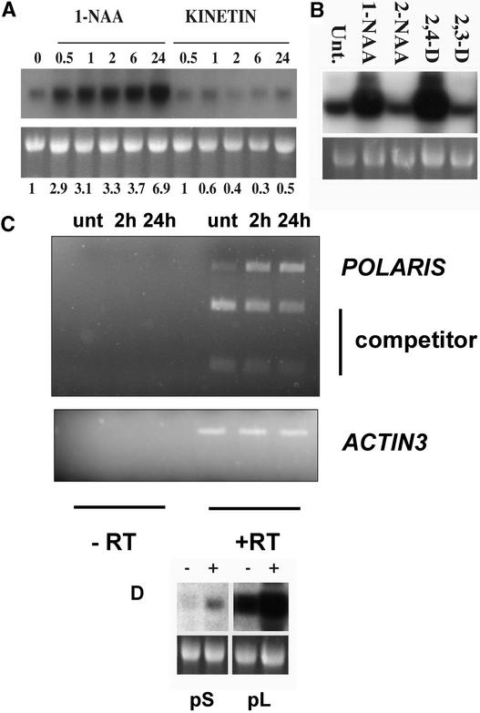 Figure 5.