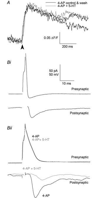 Figure 8