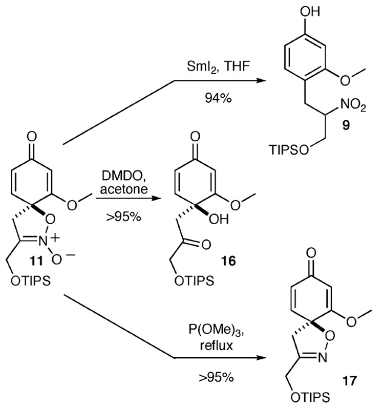 Scheme 4