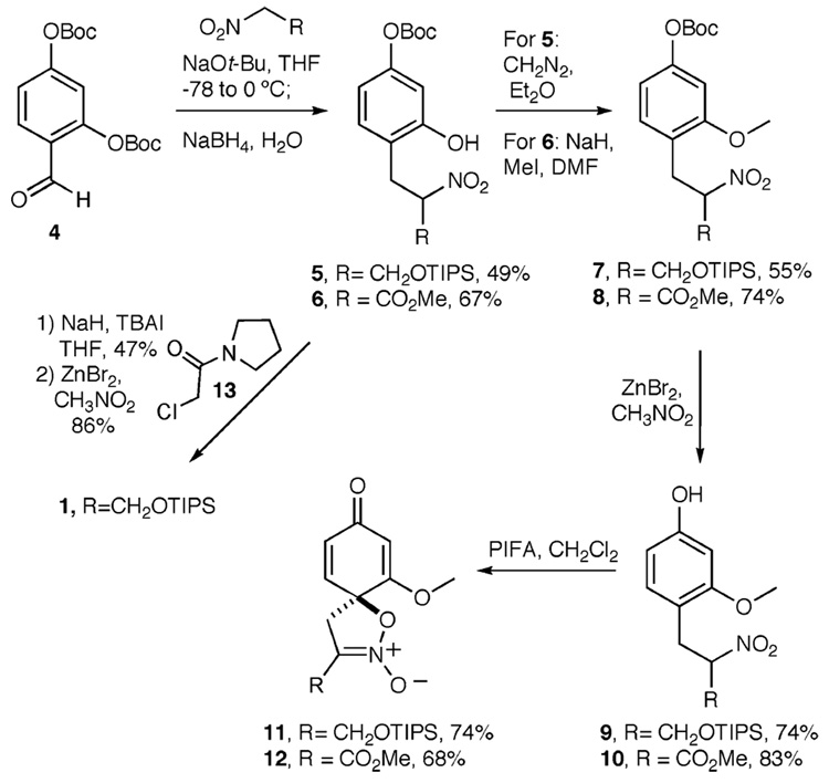 Scheme 2